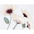 thumbnail image 2 of Prime, Marcus 18x15 White Modern Wood Framed Museum Art Print Titled - Blooming Youth 1, 2 of 4