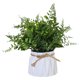 thumbnail image 1 of Macetas de plástico, bolas de hierba, plantas verdes, plantas en macetas, flores de simulación, adornos creativos, plantas artificiales., 1 of 5