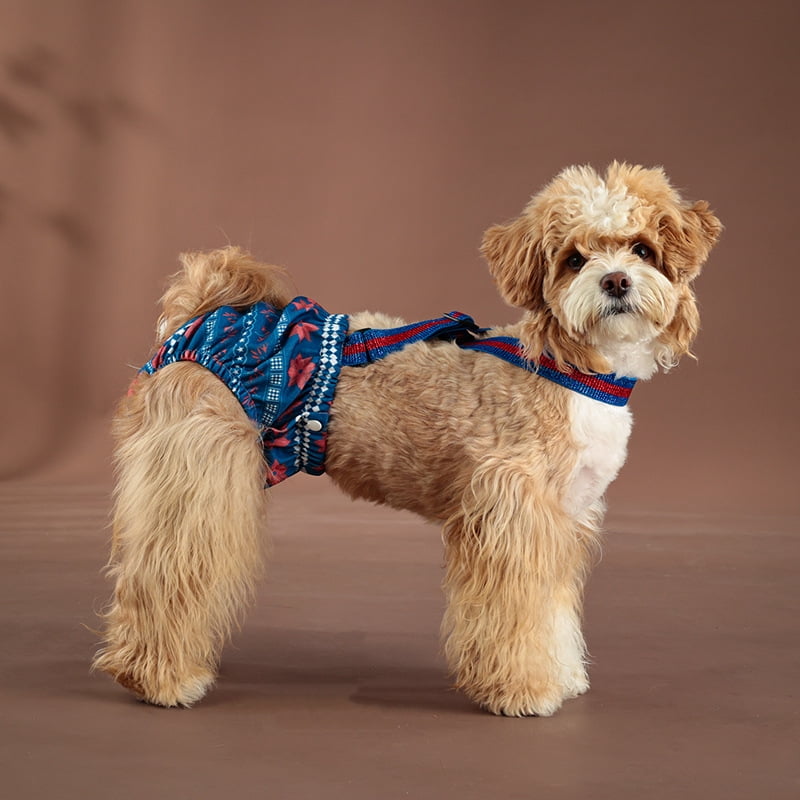 3pcs High-quality dog maternity diapers - washable and reusable sanitary pants for female dogs