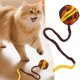 thumbnail image 2 of Juguete interactivo para gatos con cuerdas y hilo para jugar y hacer ejercicio en interiores, 2 of 5