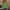 Green#2, variant on 2025 Clearance Clothes GaThRRgYP Summer Tops,Womens Summer Tops Clearance under $5,Women's Solid Color Camisole Sleeveless T-shirt Loose Tank Top