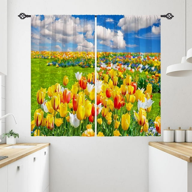 Cloud Kitchen Curtains Nature Landscape Theme Sunset Cloud Lake Scenery Scene Design Print Pattern Rod Pocket Waterproof Window Drapes for Bathroom Bedroom Office Cafe 2 Panels 26 x 36 Inch