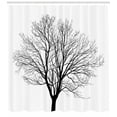 thumbnail image 3 of Black and White Shower Curtain, Monochrome Barren Maple Tree Silhouette Hand Drawn Autumn Season Nature, Fabric Bathroom Set with Hooks, 69W X 70L Inches, Black White, by Ambesonne, 3 of 3