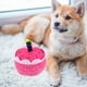 thumbnail image 2 of KAKOWELY Juguete de pastel de cumpleaños para perro, juguete de perro chirriante con forma de pastel de feliz cumpleaños, juguete de pastel de perro de peluche, 2 of 5