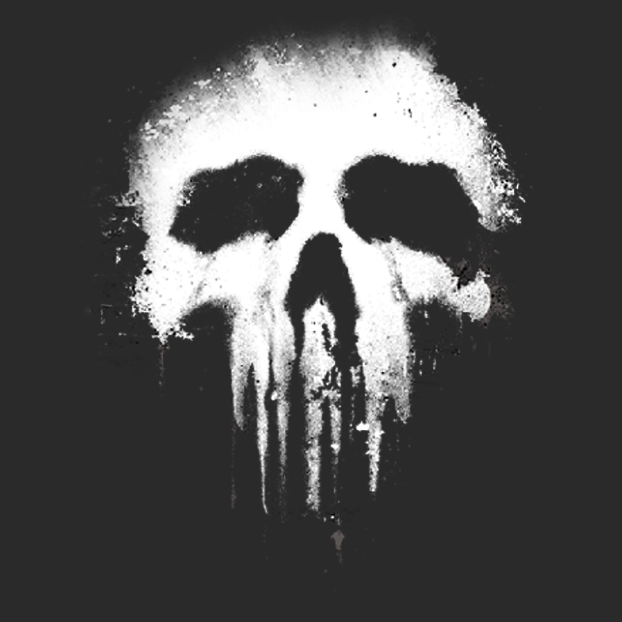 Marvel Men\'s Punisher Logo Skull (Print Hoodie Demand) On