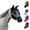 Black, variant on Reflective Horse Fly Mask Ears & Fringes Safety Yellow-Medium (Cob)