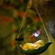 thumbnail image 1 of Lámpara decorativa de jardín con luz solar y forma de árbol verde. Ideal para decorar interiores, dormitorios, oficinas, regalos de inauguración de la casa., 1 of 8
