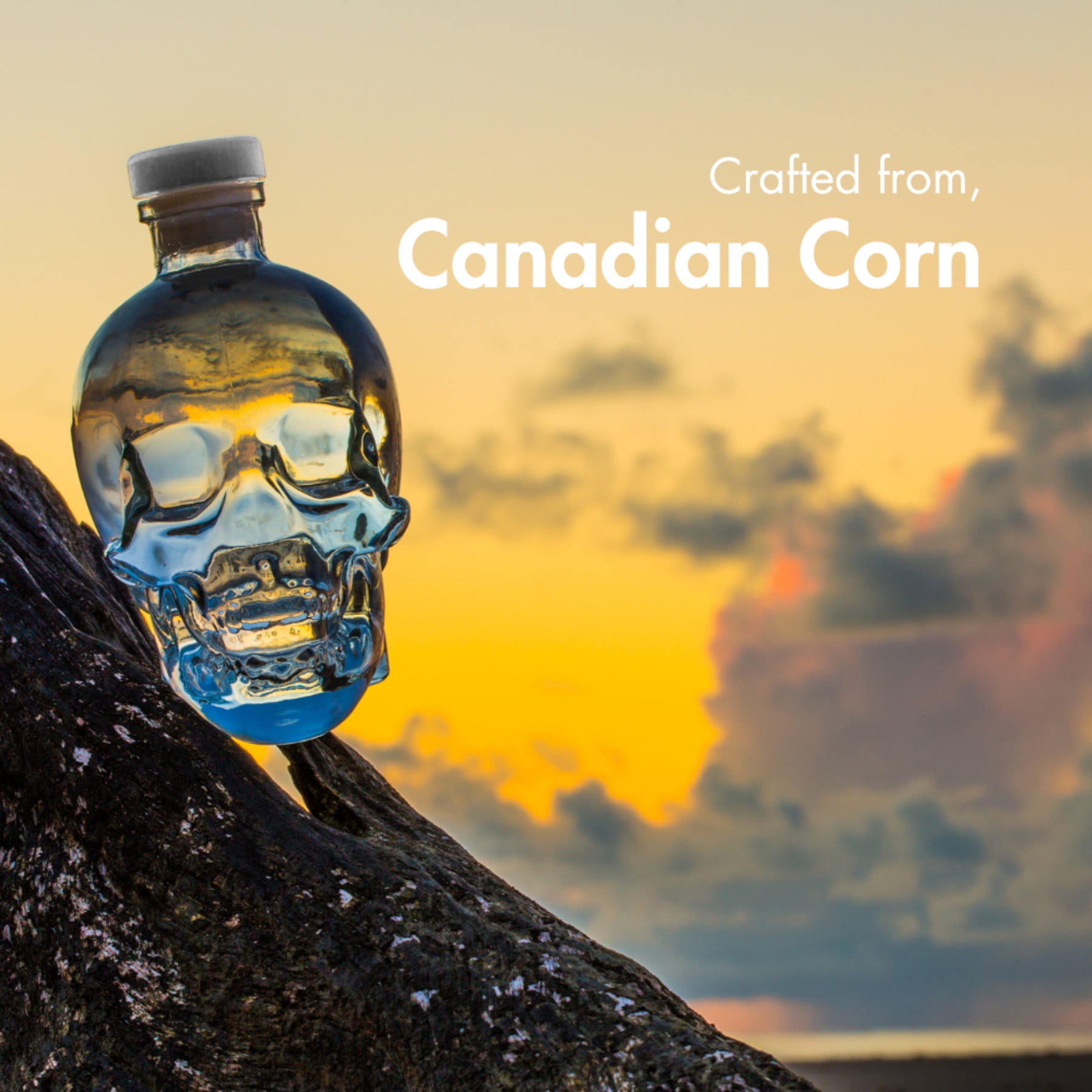 Crystal Head Vodka, 750 ml Bottle, 40% ABV - Walmart.com