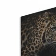 thumbnail image 2 of Luxe Metal Art 'Leopard on the Hunt' by Luxe Portfolio, Metal Wall Art, 16"x12", 2 of 9