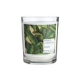 thumbnail image 1 of Vela Maison La Bougie MLB16 Jangala 180g 50h de duración, 1 of 3