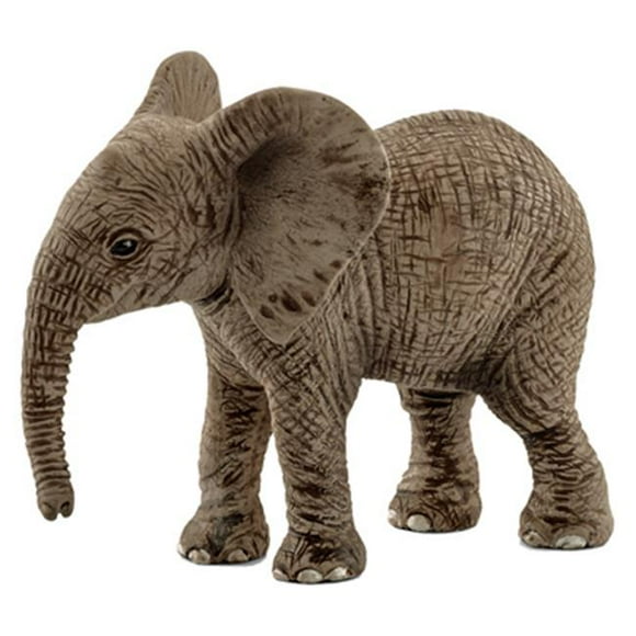 African Elephant Calf