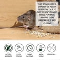 thumbnail image 2 of peppermint rodent shield mice repellent spray natural, 2 of 5