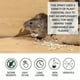 thumbnail image 2 of peppermint rodent shield mice repellent spray natural, 2 of 5