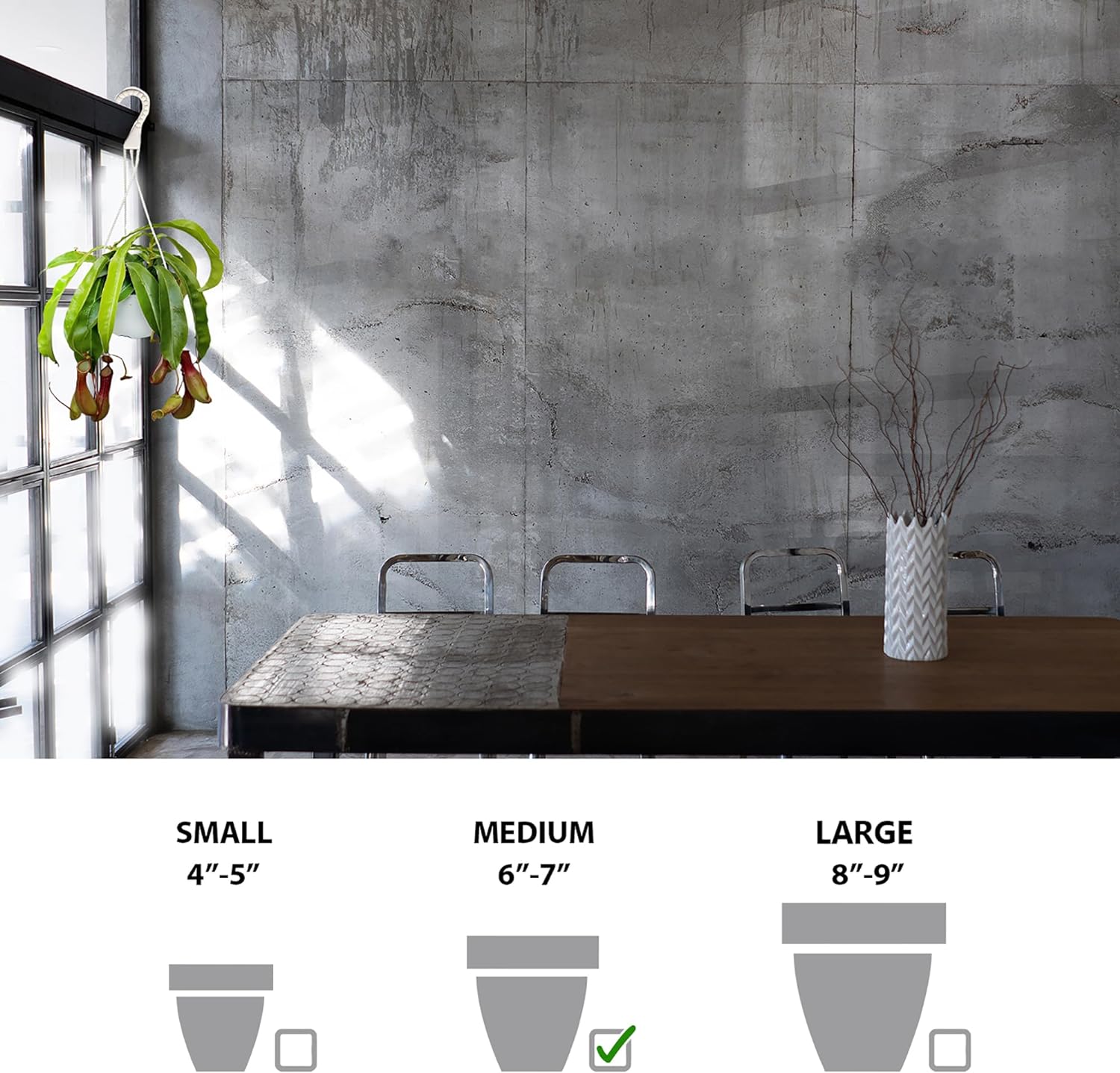 Live Pitcher Plant, Nepenthes Houseplant, Monkey Cup, Unusual Rare Plant, Office Gift, Housewarming Gift, Fully Rooted Indoor Plant, Grandma Gift, Birthday Gift in 6" Hanging Basket
