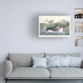 thumbnail image 3 of John James Audubon ' Pied Bill Duck' Canvas Art, 3 of 3