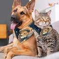 thumbnail image 4 of Leo Dog Accessories: Pack of Two Translucent Light and Breathable Chiffon Yarn Pet Collars - 40.6x40.6x58/16x16x22.8in, 53.3x53.3x76.2/20.9x20.9x30 in, 4 of 5