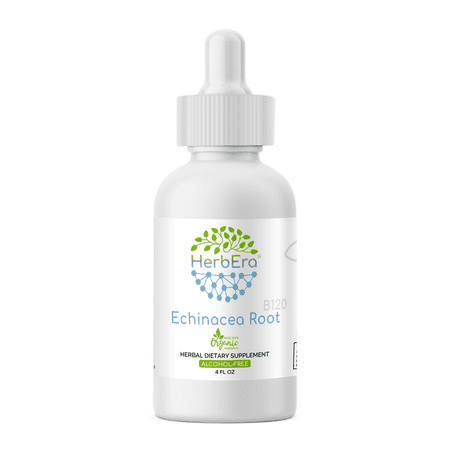 Echinacea Purpurea Herb Powder - Echinacea Root Alcohol-FREE Herbal Extract Tincture, Super-Concentrated Organic Echinacea (Echinacea Purpurea) Dried Root