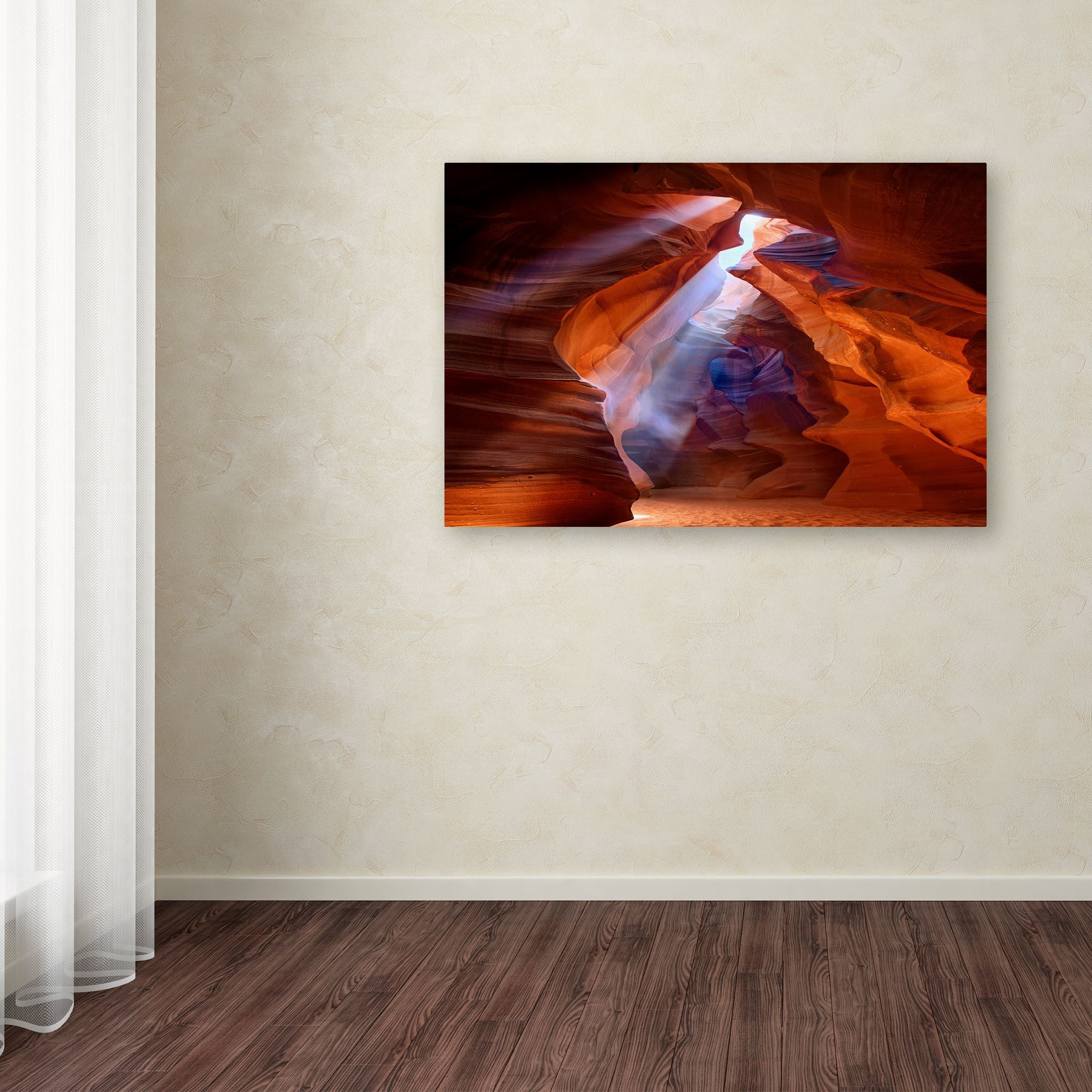 Trademark Fine Art 'Pure Photo delight' Canvas Art by Roman Golubenko