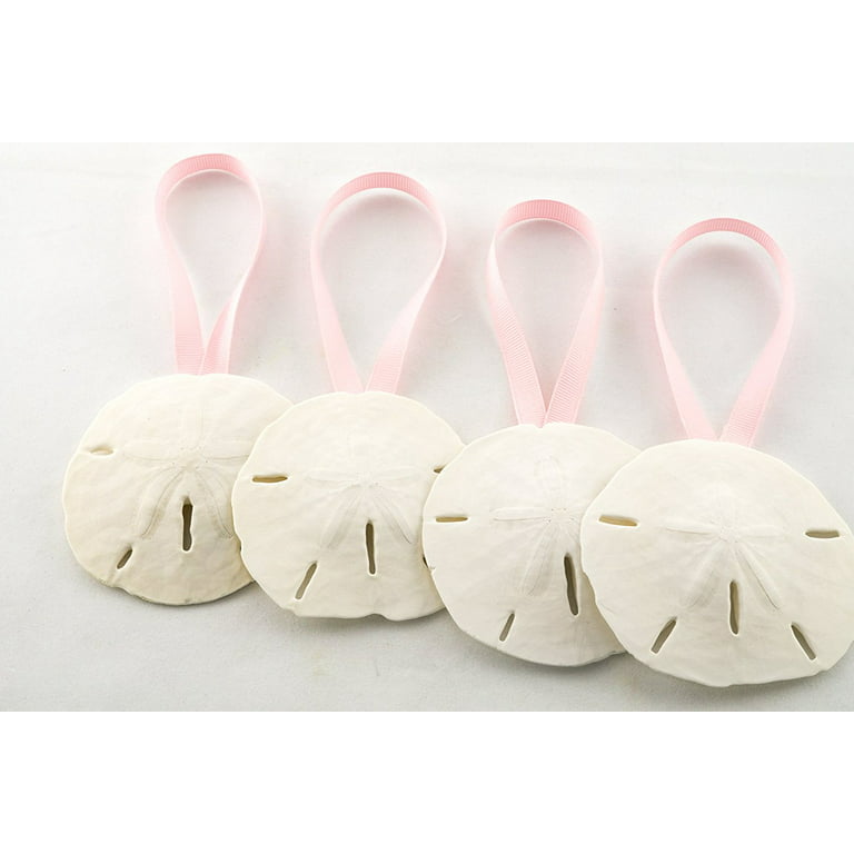 Sand Dollar Ornaments | Natural Sand Dollars 3 inch with Light Pink Ribbon | Set of 4 | Real Sand Dollars for Beach Wedding Decor | Nautical Crush