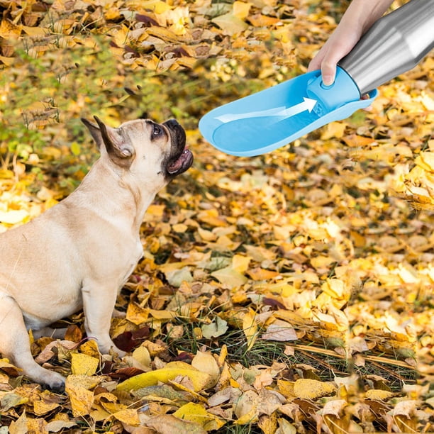 Botella de agua para perros, dispensador de agua para mascotas, alimentador de agua, cuenco de agua para perros para gatitos, perros pequeños, mediano Azul claro Fernando Botella portátil