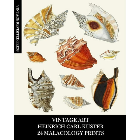 Vintage Art: Heinrich Carl Kuster: 24 Malacology Prints: Seashell Ephemera for Framing, Collages, and Scrapbooks, (Paperback)