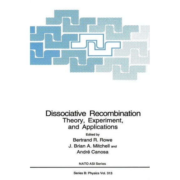 NATO Asi Series Dissociative Recombination: Theory, Experimemt and Applications, Book 313, (Hardcover)