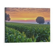 Creowell Sunrise Golden Morning Cornfield Canvas Poster Decor Sports Landscape Office Room Decor Gift,Canvas Poster Wall Art Decor Print Picture Paintings for Living Room Bedroom Decoration 20x16 In