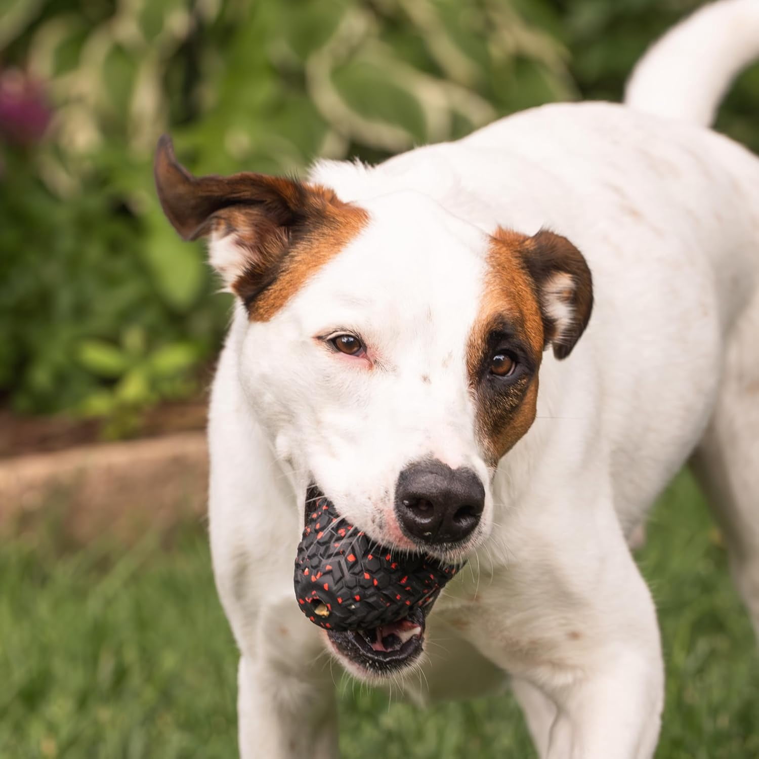 Mammoth Supreme Treater Durable Rubber Dog Toy, Large