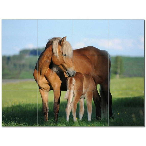 Horse Ceramic Tile Mural Kitchen Backsplash Bathroom Shower 402857-M43