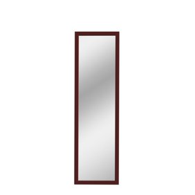 Ttup Door Solutions Rectangular Over The Door Mirror Champagne