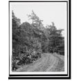 thumbnail image 2 of Historic Framed Print, A Driveway, Lake Mohonk, N.Y., 17-7/8" x 21-7/8", 2 of 9