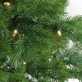 thumbnail image 3 of Northlight Real Touch™ Pre-Lit Green Mountain Pine Artificial Christmas Tree - 6.5' - Dual Color LED, 3 of 6