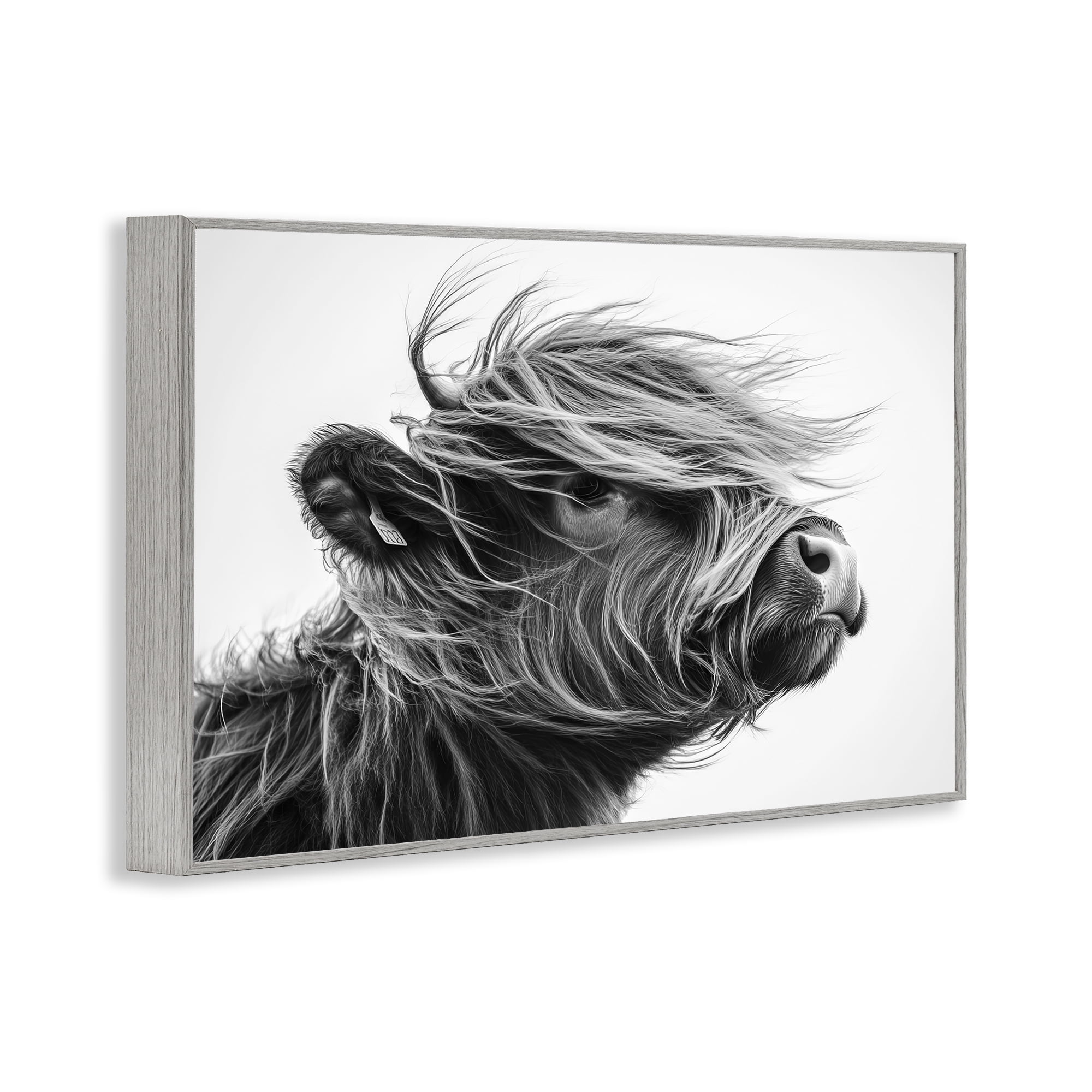 Stupell Industries Handsome Highland Portrait Gray Framed Giclee Art, design by Tina LeCour