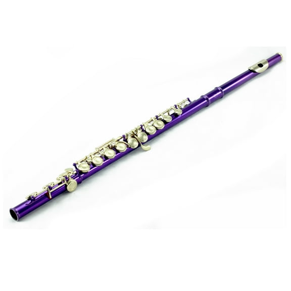 Sky C Flute with Lightweight Case, Cleaning Rod, Cloth, Joint Grease and Screw Driver - Purple/Gold Closed Hole
