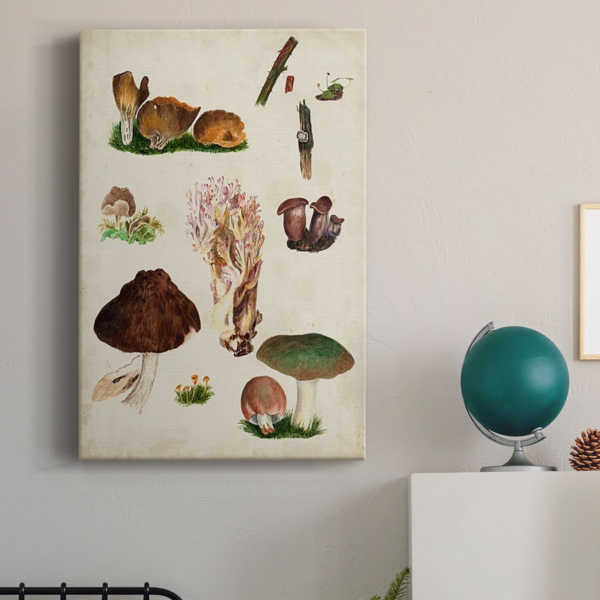 Mushroom Species IX Premium Gallery Wrapped Canvas - Ready to Hang