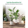 thumbnail image 7 of 2 Pack 14 Inch Wood Plant Caddy with 360 Degree Lockable Wheels, 7 of 7