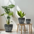 thumbnail image 3 of 6+8+10 inch Gray Ceramic Modern Flower Pot - Indoor Outdoor Use for Mixed Succulents, Herbs, Flowers, Home Garden Room Decor,Set of 3,Ordivic, 3 of 8