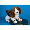 thumbnail image 1 of Flair Springer Spaniel 8" By Douglas Cuddle Toys, 1 of 5