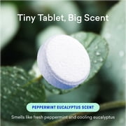 BLUELAND Toilet Bowl Cleaner Tablets, 2-Pack, 28 Count, Peppermint Eucalyptus, Plastic-Free, No Harsh Chemicals, Plant-Based