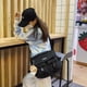thumbnail image 5 of Bolso De Hombro Bolso Casual Crossbody Messenger Multi Pockets Nylon Crossbody Bag para viajes, 5 of 8