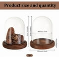 thumbnail image 2 of 1 Pc Glass Display Dome Cloche 4.06x6.3 Inch Cloche Bell Jar Terrarium with Cork Base Decorative Display Dome Case for Plants Flower Christmas Display Decoration Clear, 2 of 7