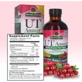thumbnail image 2 of Nature's Answer UT Answer Cranberry Liquid, Urinary Tract Support with D-Mannose & Vitamin C, Alcohol-Free Herbal Supplement, 4 fl oz (Pack of 2), 2 of 5
