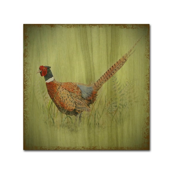 Trademark Fine Art 'Wilderness Lodge 7' Canvas Art by Jean Plout