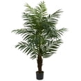 thumbnail image 1 of Nearly Natural Palmier Areca 5 Pieds, 1 of 1