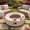 Beige, variant on FOROUTIA 41'' Outdoor Propane Fire Pit Table, 50,000 BTU MgO Concrete Look Gas Fire Pit with Lava Rocks & Rain Cover for Patio Backyard, Beige