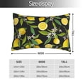 thumbnail image 2 of Honeii Lemon Fruits Flowers Leaves Print Pillow Cases,Plush Throw Pillow Covers,Decorative Pillowcase for Sofa, Couch, Living Room-20"x30", 2 of 6