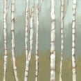 thumbnail image 2 of Goldberger, Jennifer 15x15 Gold Ornate Wood Framed with Double Matting Museum Art Print Titled - Simple Birchline I, 2 of 4