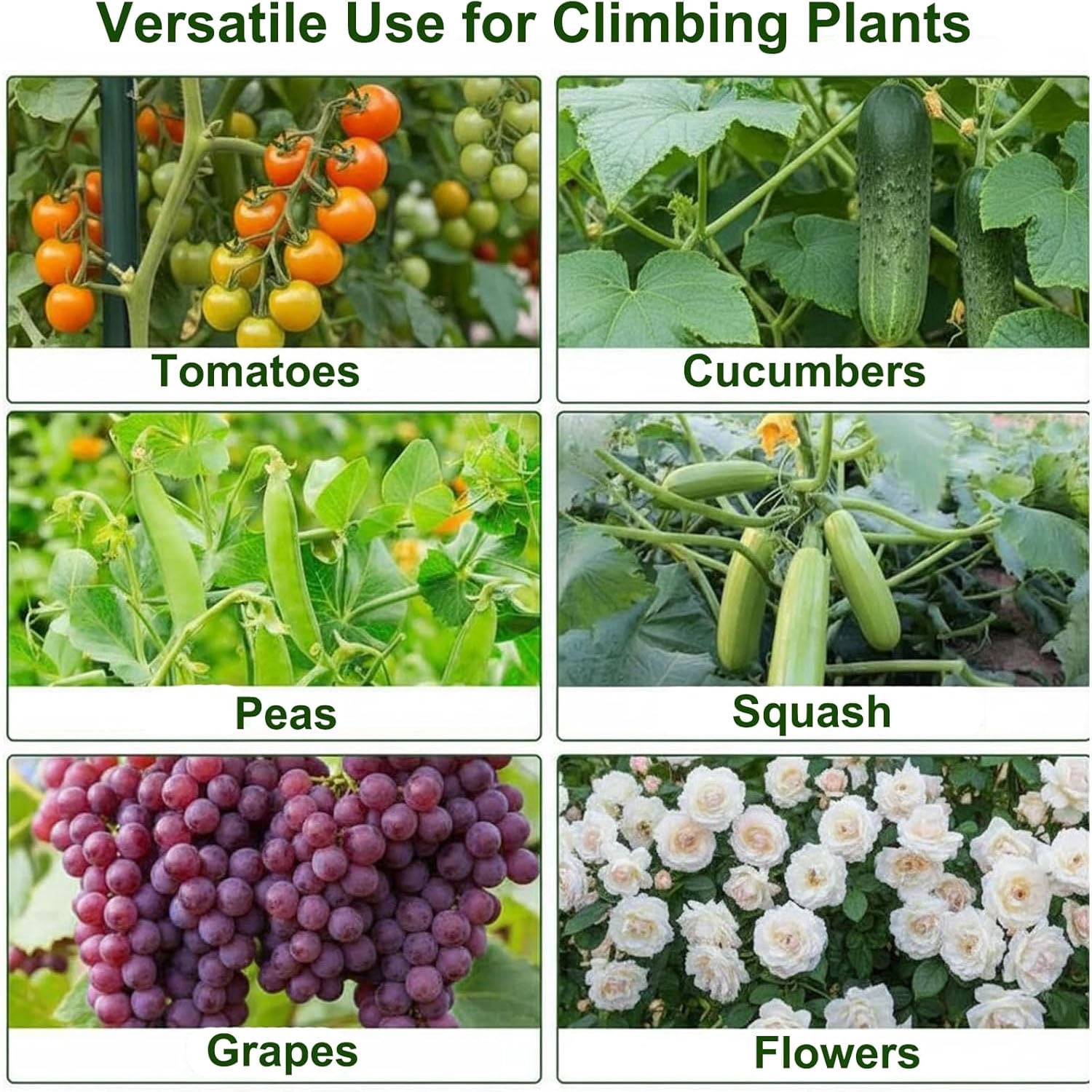 Gaderth Garden Cucumber Trellis for Raised Bed, U-Shape Garden Trellis for Climbing Plants, Metal Arch Vegetables Trellis, Plant Support for Grape Vine Tomato Vegetable Pea Bean