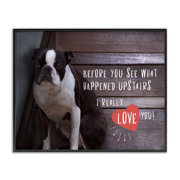 Stupell Industries Farmhouse Funny I Love You Dog Black Framed Giclee Art, 14 x 11, by Ziwei Li