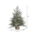thumbnail image 2 of Vickerman 36" Frosted Sable Pine Artificial Christmas Tree, Warm White Dura-Lit® LED Lights, 2 of 3